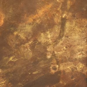 Kelp Brown Algae
