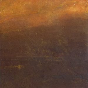 Kelp Brown Algae